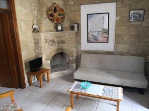 GoudhiSpanos House的带沙发和壁炉的客厅