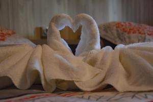 洛特河畔的维伦纽夫德斯公寓酒店的两个天鹅在床上被毛巾包裹