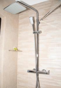 卡马乔Hotel Mercedes的浴室内配有淋浴和头顶淋浴