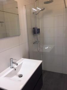 克拉亨堡Speldehof的白色的浴室设有水槽和淋浴。