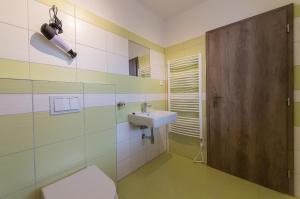 捷克克鲁姆洛夫拓扑公寓的一间带水槽和卫生间的浴室