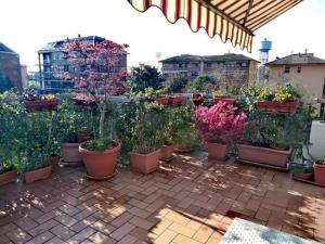 戈尔贡佐拉Appartamento con terrazzo a Gorgonzola的庭院里种着许多盆栽植物的花园