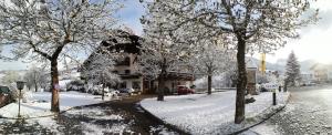 奥蒂塞伊罗德斯酒店的一条有树木和建筑物的雪覆盖的街道