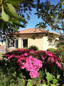 卡米尼亚Castanheiro Cottage的前面有粉红色花的房子