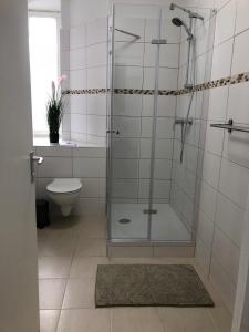 柏林Pension Kaffeefreunde的带淋浴和卫生间的浴室