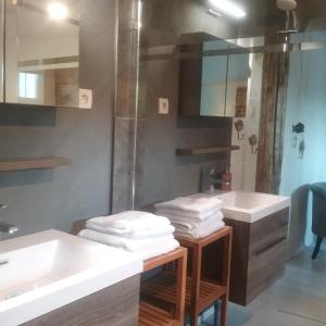 ÉchillaisB&B Le verger的浴室设有2个水槽和2面镜子