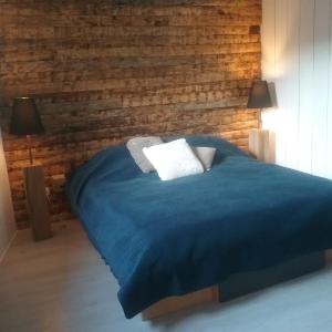ÉchillaisB&B Le verger的一间卧室配有蓝色的床和两个枕头