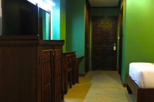 美塞库尔宫殿酒店的一间卧室设有绿色的墙壁、一张床和电视