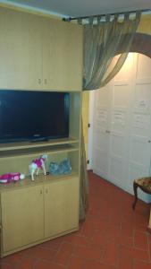 菲乌米奇诺河流公寓的娱乐中心设有带电视的客厅