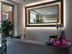 加比切马莱艾克塞西尔酒店的花在柜台上墙上的镜子