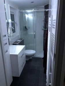 雷讷瑟Chalet SOL Y MAR的带淋浴、盥洗盆和卫生间的浴室