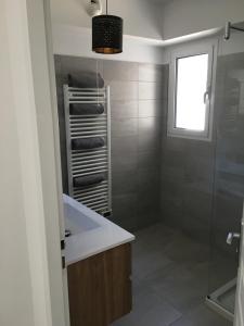巴斯蒂亚Charmant T2 Hauteurs de Bastia的带淋浴和盥洗盆的浴室以及窗户。