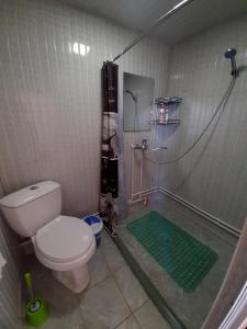 布哈拉Art Guest House USTO的带淋浴和卫生间的浴室