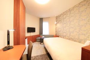 东京东京目白里奇蒙德酒店的酒店客房设有一张床、一张书桌和一台电视机。