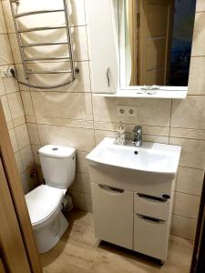 切尔诺夫策Little Paris Apartment的一间带卫生间、水槽和镜子的浴室