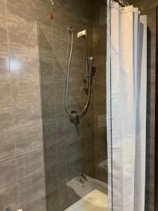 波尔莱扎B & B Sul Lago的带淋浴和盥洗盆的浴室