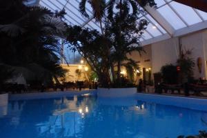 杜柏热带酒店的一座带玻璃天花板的大型游泳池