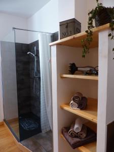 VicdessosGite de l'Amistat的带淋浴的浴室和玻璃淋浴间