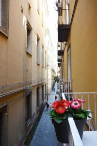 那不勒斯Domus Studio 25 bed & breakfast的城市街道上种满鲜花的阳台