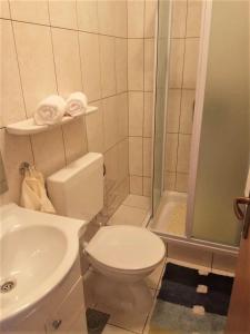 巴比诺波尔杰Countryside Vacation House VITEZ的浴室配有卫生间、盥洗盆和淋浴。