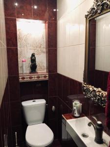 克拉科夫Cracow. Villa Cherubin Garden的一间带卫生间、水槽和镜子的浴室