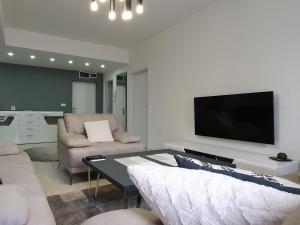 斯科普里City Center Apartment的带沙发和平面电视的客厅