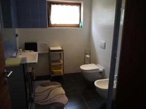 坎波图雷斯Hörtmairhof的一间带卫生间和水槽的小浴室