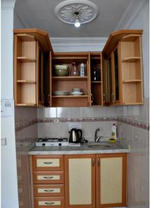 锡德赛德公寓酒店的一个带木制橱柜和水槽的厨房
