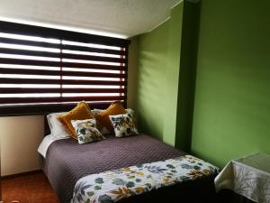 塔巴贝拉Chapelet Hostal的一间卧室设有一张带绿色墙壁和窗户的床。