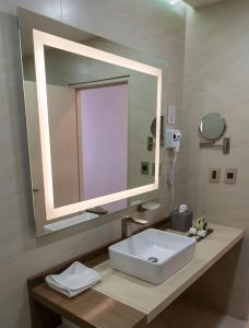 Santa Cruz TecamacHotel Verticca的一间带水槽和大镜子的浴室