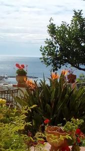圣雷莫La Casa Del Sole的从种满鲜花的花园欣赏到海景