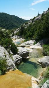 AscasoCasa Juez的一条有绿水、岩石和树木的河流