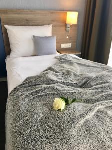 雷马根StadtHotel ARTE的床上的白色玫瑰,带毯子