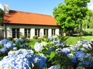 马尔德海姆Terre de Lumière的一座房子前面的蓝色花卉花园