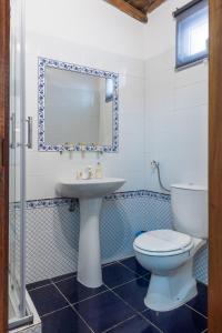 BrinchesCasa dos Moinhos Velhos的一间带水槽、卫生间和镜子的浴室