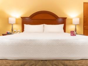 蒙特雷蒙特雷皇冠假日酒店 的一间卧室配有一张带两盏灯的大型白色床。