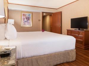 蒙特雷蒙特雷皇冠假日酒店 的一间酒店客房,配有一张大床和一台平面电视