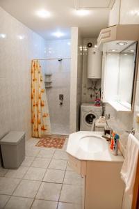 巴库MINI- VENICE Apartment 2 Bedrooms的一间带水槽和淋浴的浴室