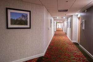 马姆莫斯湖Empeiria High Sierra Hotel的地板上铺有红地毯的长走廊