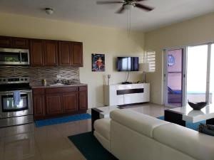 夏洛特阿马利亚Villa Indigo Sunny 1BR Apartment in Private Gated Estate的带沙发的客厅和厨房