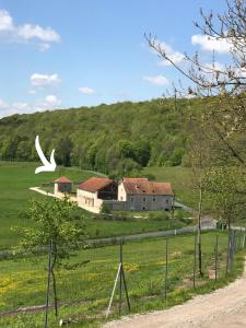 阿尔克昂巴鲁瓦Gîte 6 pers de la Vallée de l'Aujon的飞过田野房子的白鸟