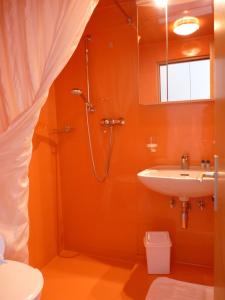 菲耶嘉斯托艾尔伯格克利乌崔酒店的带淋浴和盥洗盆的浴室