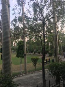 拉合尔Apartment near Shaukat Khanum的树木繁茂的公园,坐在长凳上的人