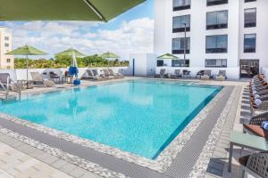达尼亚滩Wyndham Garden Ft Lauderdale Airport & Cruise Port的游泳池,酒店配有椅子和遮阳伞