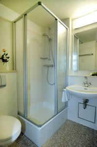 勒鲍Hotel Stadt Löbau的带淋浴、卫生间和盥洗盆的浴室