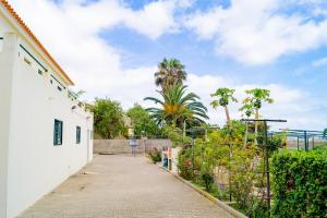 Vila BaleiraSlowing Villas - Villa Oceano的一条有树木和植物的白色建筑旁的走道