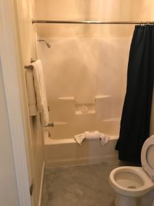 科迪格林格布尔斯酒店的带淋浴、卫生间和毛巾的浴室