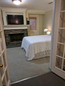 刘易斯顿Niagara Mansion Carriage Suite的一间卧室设有一张带壁炉和电视的床。