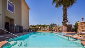 拉夫金直辖殖民地贝斯特韦斯特优质酒店的一座游泳池,旁边是一座棕榈树