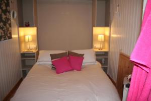 考布里奇The Hideaway at Duffryn Mawr Self Catering Cottages的一间卧室配有一张带两个粉红色枕头的床